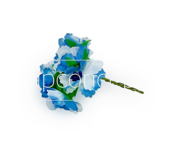 Flowers on stick - Blue & White Flowers on stick - Blue & White
