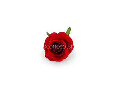 Rose Big - Deep Red Rose Big - Deep Red