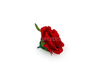 Rose Big - Deep Red Rose Big - Deep Red