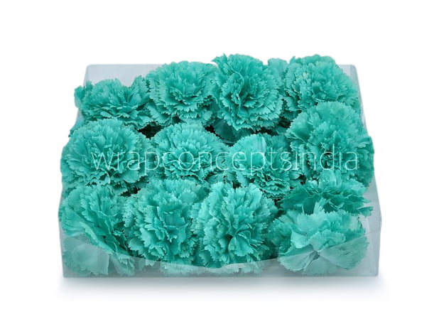 Cyan Carnation