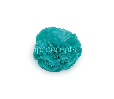 Cyan Carnation
