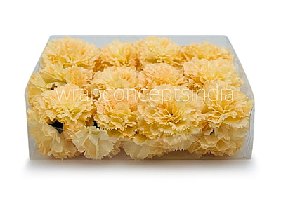 Buttercup Carnation Buttercup Carnation