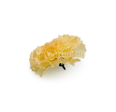 Buttercup Carnation Buttercup Carnation