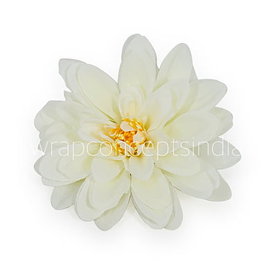 Ivory Dahlias Ivory Dahlias