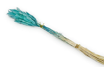 Preserved Bunny Tails