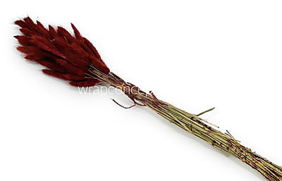 Preserved Bunny Tails