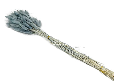 Preserved Bunny Tails