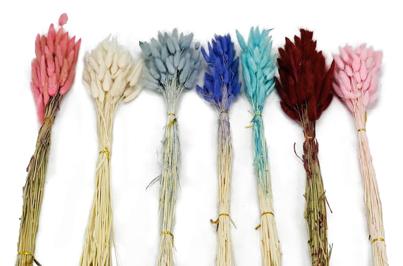 Preserved Bunny Tails