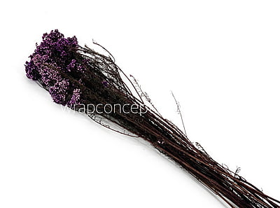Preserved Rice Flower