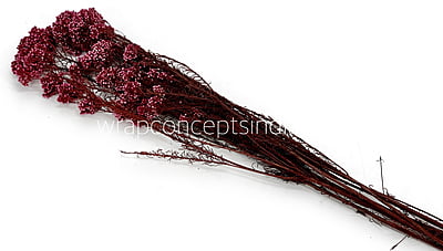 Preserved Rice Flower