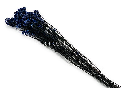 Preserved Rice Flower
