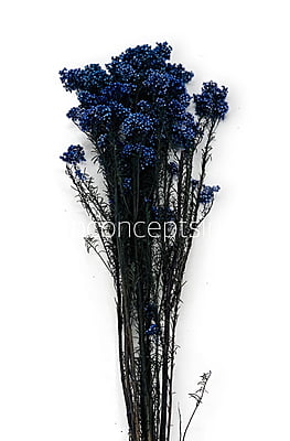 Preserved Rice Flower