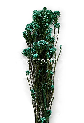 Preserved Rice Flower