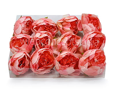 Peony - Coral