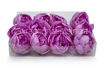 Peony - Mauve Peony - Mauve