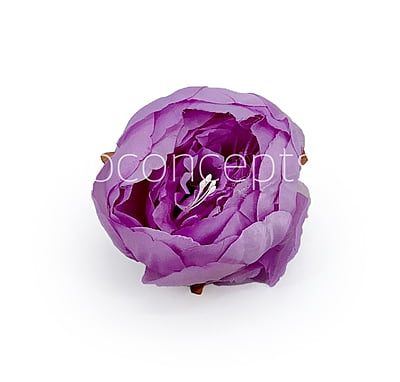 Peony - Mauve Peony - Mauve