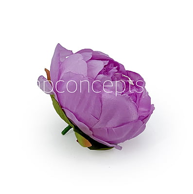 Peony - Mauve Peony - Mauve