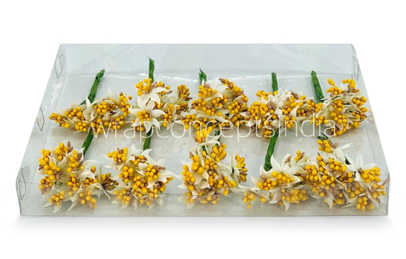 Dual Tone Pollens- Yellow & Gold