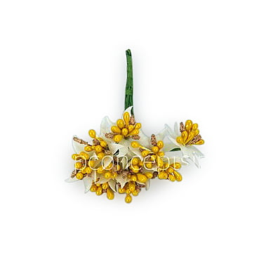 Dual Tone Pollens- Yellow & Gold