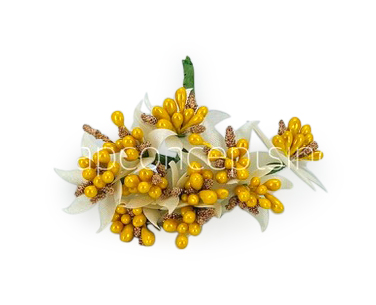 Dual Tone Pollens- Yellow & Gold