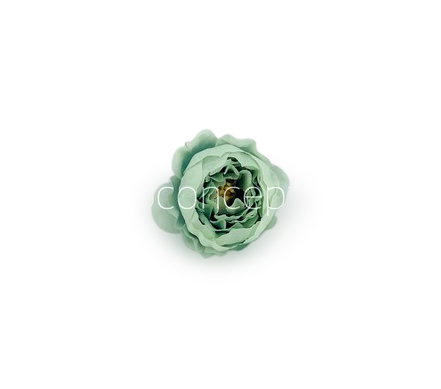Pistachio Green Peonies