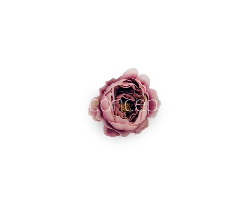 Blush with Burgundy Peonies Blush with Burgundy Peonies