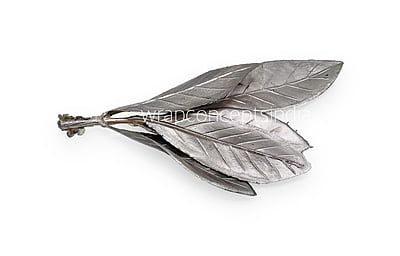 Champagne Textured Leaves on Twig Champagne Textured Leaves on Twig
