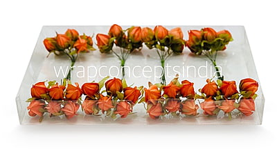 Tangerine Bougainvillea on Stick Tangerine Bougainvillea on Stick