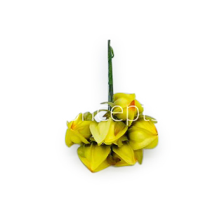 Yellow Bougainvillea on Stick Yellow Bougainvillea on Stick