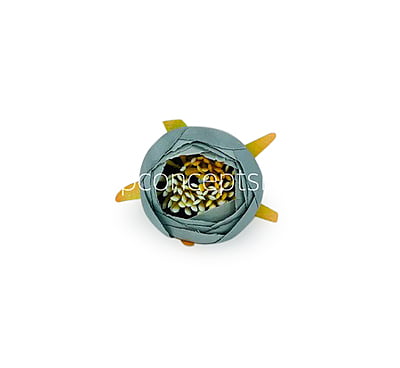 Peony Medium -Steel Grey Peony Medium -Steel Grey