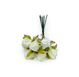 Ivory Bougainvillea on Stick Ivory Bougainvillea on Stick