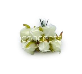 Ivory Bougainvillea on Stick Ivory Bougainvillea on Stick