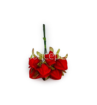 Red Bougainvillea on Stick Red Bougainvillea on Stick