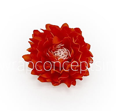 Orange Red Water Lily Orange Red Water Lily