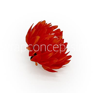 Orange Red Water Lily Orange Red Water Lily