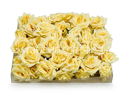 Corn Small Diamond Rose
