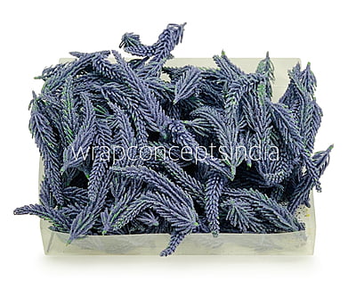 Mauve Fir Leaves Mauve Fir Leaves