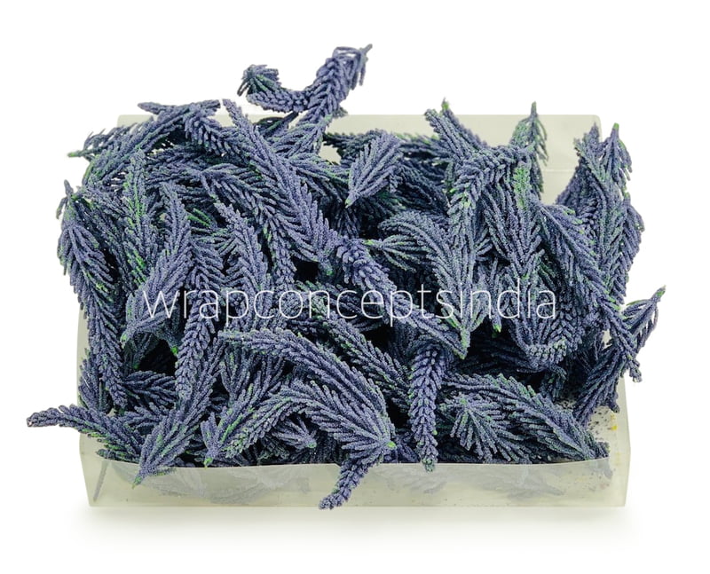 Mauve Fir Leaves Mauve Fir Leaves