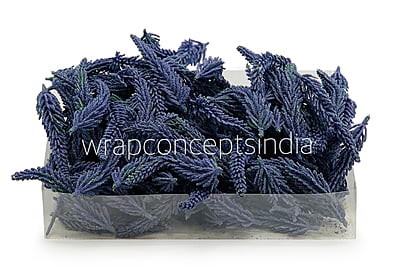 Mauve Fir Leaves Mauve Fir Leaves