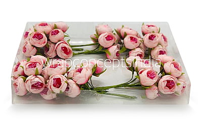Peonies on stick - Shaded Pink Peonies on stick - Shaded Pink