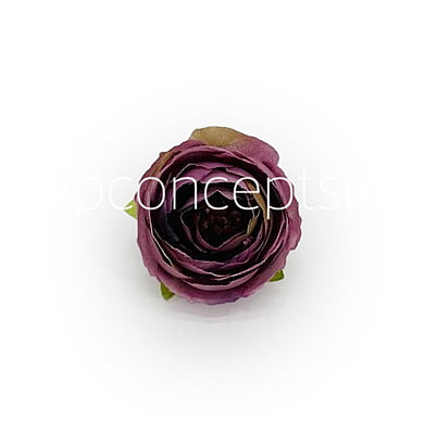 Persian Pink with hints of Purple Peonies Persian Pink with hints of Purple Peonies
