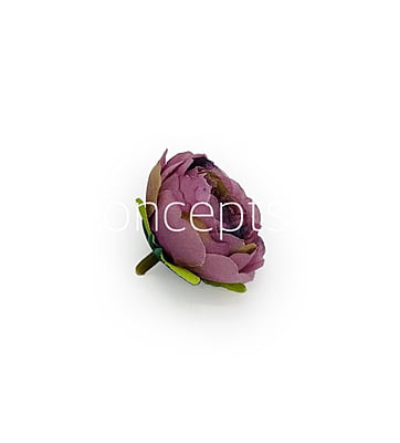 Persian Pink with hints of Purple Peonies Persian Pink with hints of Purple Peonies