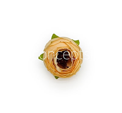 Mellon Yellow Peonieis Mellon Yellow Peonieis