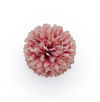 Carnation - Flamingo