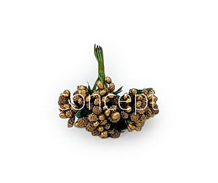 Gold Pollens