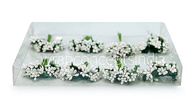 White Pollens White Pollens