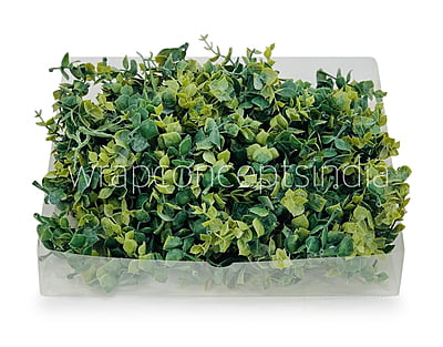 Eucalyptus Leaves Pack