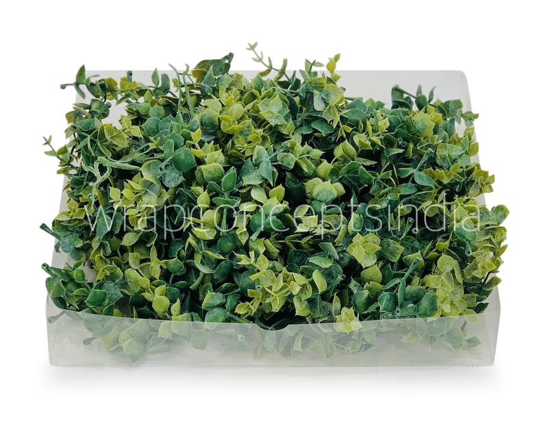 Eucalyptus Leaves Pack