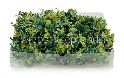 Eucalyptus Leaves Pack