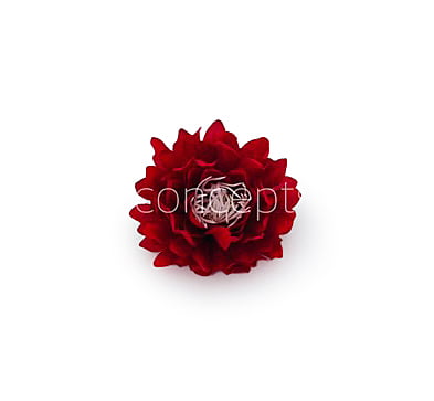 Red Water Lily Red Water Lily